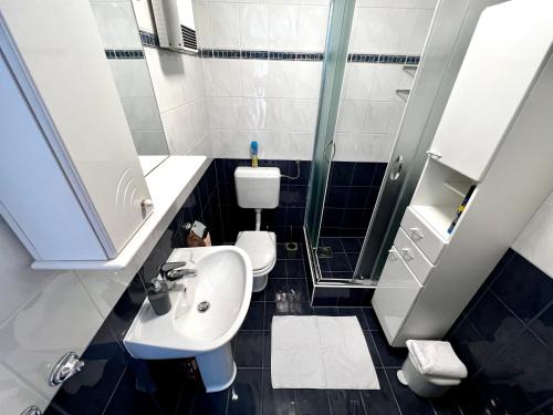 a bathroom with a sink and a toilet at Apartments Lokunja in Pag