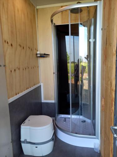 uma casa de banho com um chuveiro e um WC. em Tiny house het Polderhuisje em Streefkerk