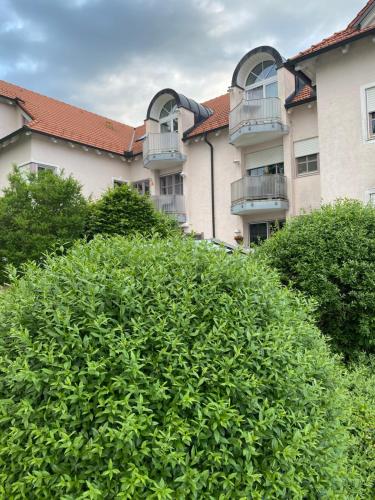 a large bush in front of a building at Ferienwohnung Lichtgalerie in Traunstein