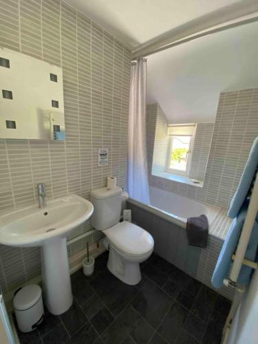 a bathroom with a white toilet and a sink at Silhouette Cottage in Coleford