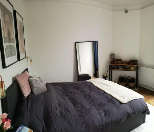 a bedroom with a bed and a mirror in it at Happy Place - 15 min Paris & 30 min DisneyLand - Subways - Facilities - Free parking - Secured in Maisons-Alfort