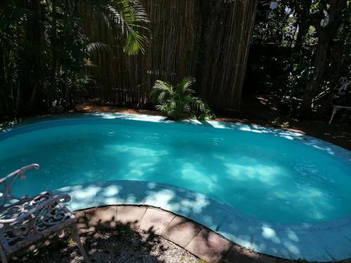 una piccola piscina blu con una sedia in cortile di Posada Bugambilias a Tepoztlán