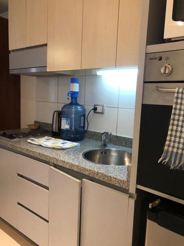Η κουζίνα ή μικρή κουζίνα στο Apart hotel Fraga