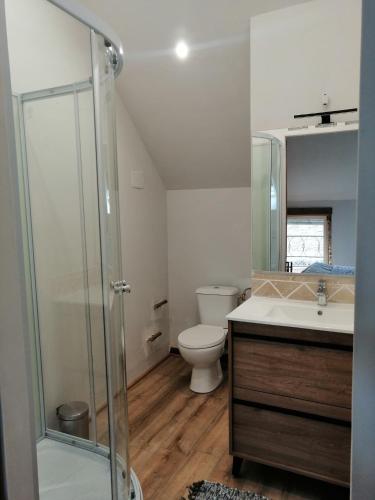 une salle de bain avec toilettes, lavabo et douche dans l'établissement Gîte à la ferme en pleine nature, à Pleine-Fougères