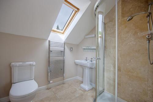 a bathroom with a toilet and a sink and a shower at Branter Lodge in Strachur