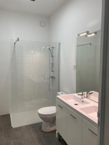 W łazience znajduje się prysznic, toaleta i umywalka. w obiekcie Coliving salle de sport vidéprojection proxi gare w mieście Agen