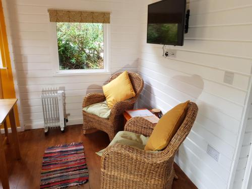 a small room with two chairs and a tv at The Old Potting Shed with hot tub. Colan, Newquay. in Newquay