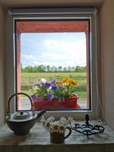 a window with a sink and flowers on a counter at Gîte à la campagne in Conquereuil