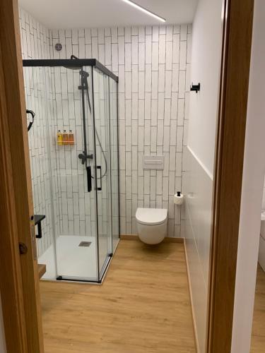a bathroom with a shower and a toilet at Mar De Muros in Muros