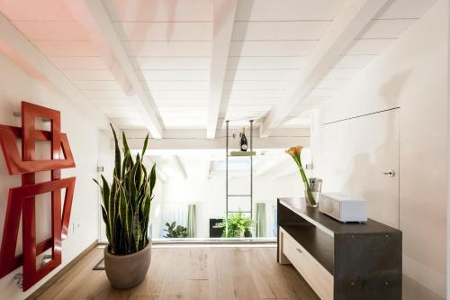 a room with a black cabinet and a plant at Verona Suites in Verona