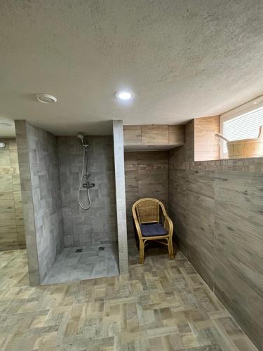 a bathroom with a shower with a chair in it at Resort LUFT Sněžník in Sněžnik