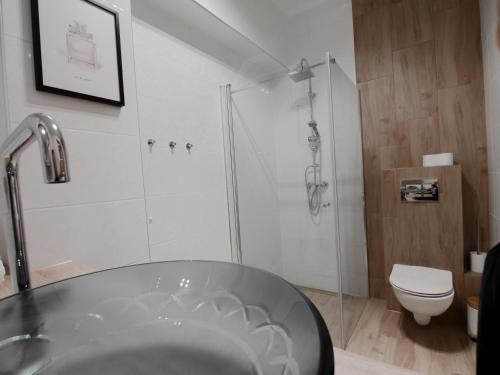 Koupelna v ubytování Apartamenty Vulcan
