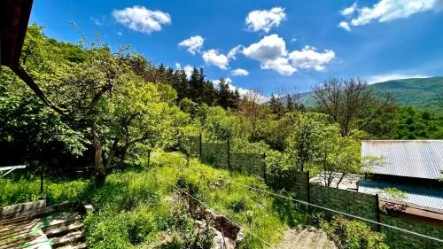 Mountain top get away in breathtaking Dilijan! picture