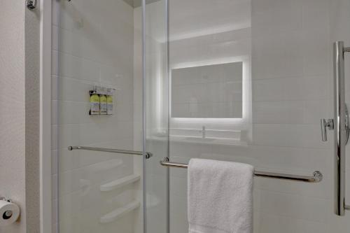 a bathroom with a shower with a glass door at Holiday Inn Express Hotel & Suites Anderson I-85 - HWY 76, Exit 19B by IHG in Anderson