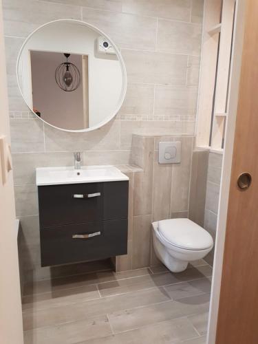 une salle de bain avec un lavabo, des toilettes et un miroir dans l'établissement Gîte climatisé 