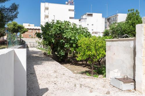 a path with trees and a building in the background at La Curte dellu Pippi Niuru in Lecce
