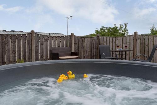 two rubber ducks in a hot tub in a backyard at Ystabl - Stable in Llanddulas