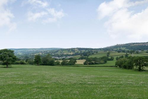 a field of green grass with trees in the distance at Ystabl - Stable in Llanddulas