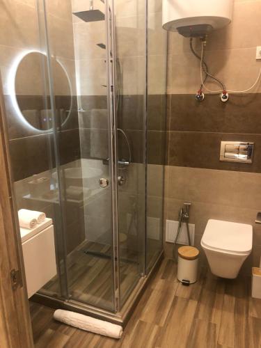 a shower stall in a bathroom with a toilet at Karen's Dom & Terrace in Yerevan