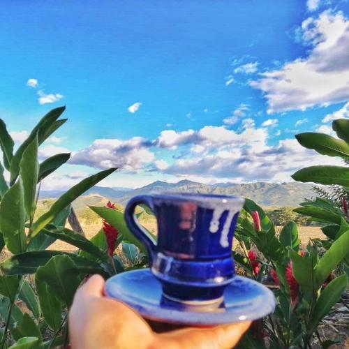 a person holding a blue cup in their hand at Hacienda Villa Liria in Hobo