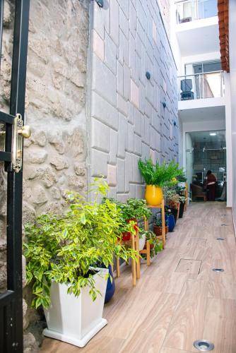 Platero Hotelにある庭