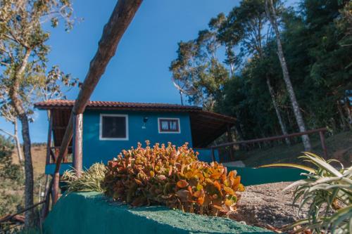 a blue house with a bunch of flowers on a table at Chalés Cerejeira in Visconde De Maua