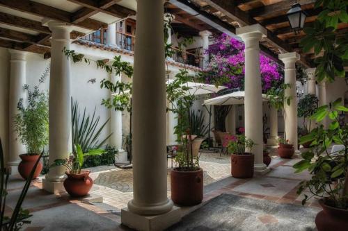 een binnenplaats met potplanten en een gebouw bij HOTEL PROVINCIA in San Cristóbal de Las Casas