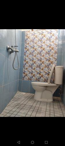 BonorejoにあるZG Home Soloの青いバスルーム(トイレ付)