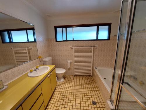 a bathroom with a sink and a toilet and a shower at House Matterhon 3 Bedroom Apartment in Jindabyne