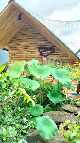 a garden with large green leaves in front of a building at Nobita Homestay bắc hà in Bắc Hà