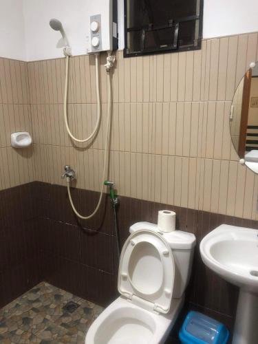 a bathroom with a shower and a toilet and a sink at Seascape Lodging House in Coron