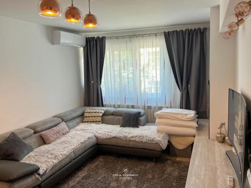 a living room with a couch and a television at Apartament Popescu in Călimăneşti