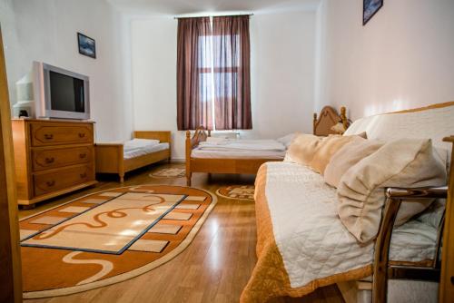 a bedroom with a bed and a tv and a rug at HOTEL MARION in Dumbrăveni