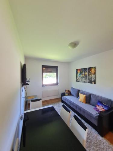 TV i/ili multimedijalni sistem u objektu Goran Apartment