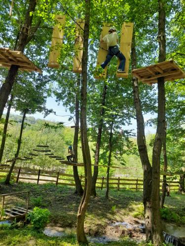 a man is on a tree swing at Moara Viselor in Vaideeni