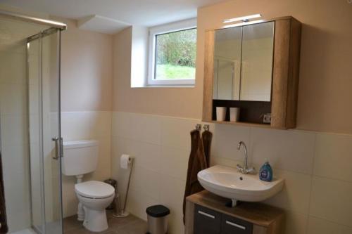 a bathroom with a toilet and a sink and a mirror at Gegg's Ferienwohnung II in Dollnstein