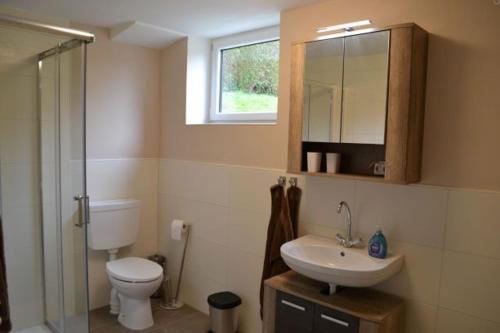 ein Badezimmer mit einem WC, einem Waschbecken und einem Spiegel in der Unterkunft Gegg's Ferienwohnung II in Dollnstein