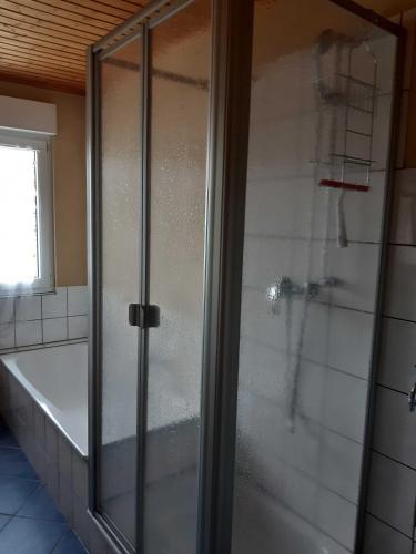 a glass shower door in a bathroom with a tub at Ferienwohnung-Vivienne in Hemfurth-Edersee