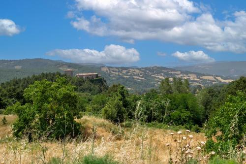 a view of the mountains from a field with trees at Melograno Poderone in Grosseto