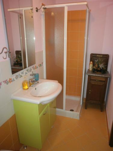 a bathroom with a sink and a shower at Bed and breakfast Al Rudun in Boves