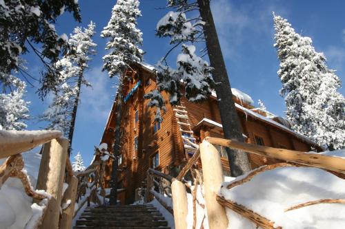 a log cabin in the woods in the snow at Вотавілю Драгобрат in Dragobrat