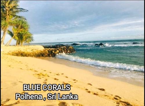 a sandy beach with palm trees and the ocean at Blue Corals Beach Bungalow in Madihe East