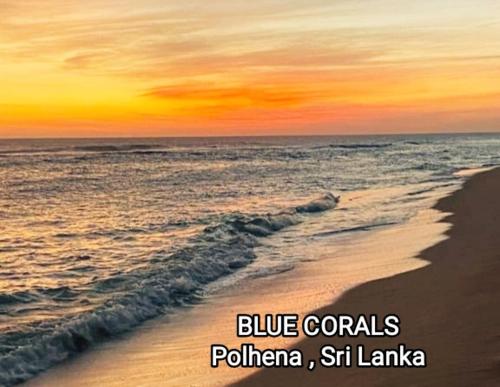 a picture of the beach at sunset with the ocean at Blue Corals Beach Bungalow in Madihe East