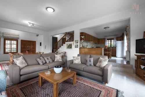 a living room with two couches and a coffee table at Classico, Nilie Hospitality MGMT in Foústani