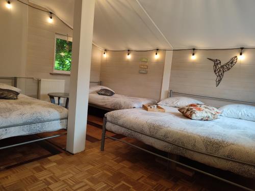 Легло или легла в стая в Kurna Chata domek w Karkonoszach