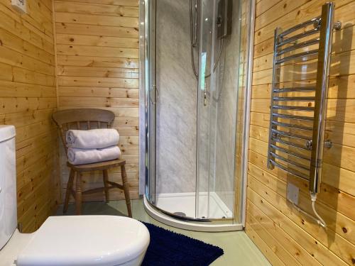 uma casa de banho com um chuveiro, um WC e uma cadeira. em Hideaway at Hestercombe em Kingston