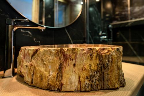 a log sitting on top of a counter in a bathroom at Liberta INN - Pokoje Gościnne in Zakopane