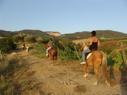 Άλλα ζώα σε αυτό το κατάλυμα σε φάρμα ή στη γύρω περιοχή