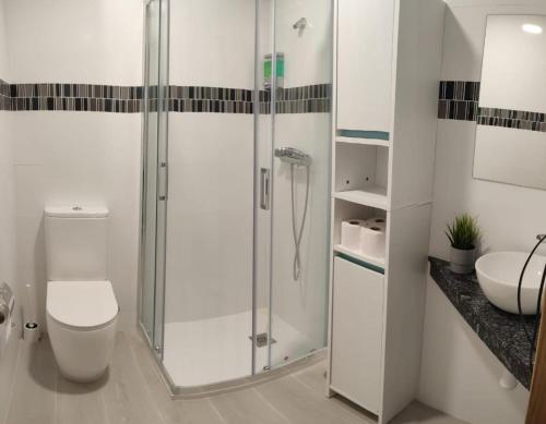 a bathroom with a shower and a toilet and a sink at Apartamento TerradeAugas3 in Caldas de Reis