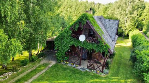 a house covered in ivy on a green yard at Brzozowy Chillout in Dubeninki